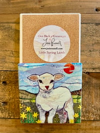Little Spring Lamb Coasters