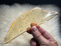 Image 23 of Copal Amber With Preserved Insects #2357