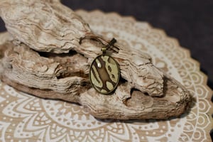 Image of Ball Python Bronze Collection