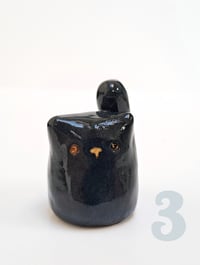 Image 4 of Just a Kitty