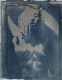 “Piss Portrait”