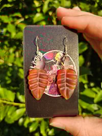 Image 1 of Amber Earing Set