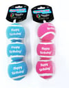 Happy Birthday Ball Set