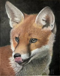 Lickity Split Fox Original Artwork