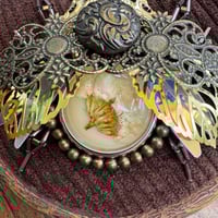 Image 2 of Dried flower beetle (b, 3.5  inches)