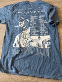 Image 2 of Large blue bigger lace destroyed 