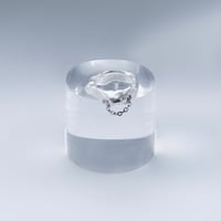 Image 1 of veiled