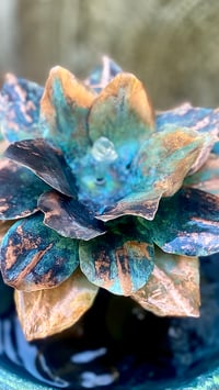 Image 1 of Lotus Flower
