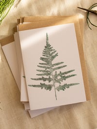 Image 2 of Botanical Christmas Card Pack  - Luxury Sustainable Nature Cards A6- Pack of 4/8.