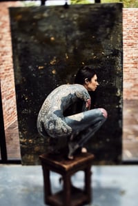 Studio Color 2/3