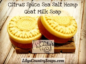Image of Sea Salt & Hemp Goat Milk Soap