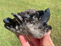 Image 1 of Smoky Quartz Crystal Points Cluster #2002