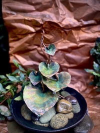Image 2 of 🧡💚🩵5 Hearts💚🧡