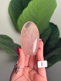 Image 9 of CHOOSE YOUR OWN STAR ROSE QUARTZ FREEFORMS -MADAGASCAR-