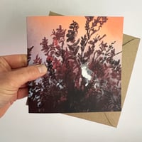 Image 4 of Cats in Trees - Luxury Greetings Card Set