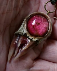 Image 21 of Crimson Oracle Snaggletooth Pendant OOAK