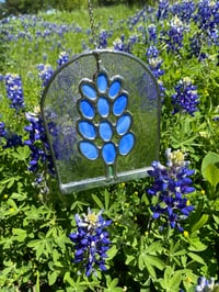 Image 2 of Ellis County Bluebonnet