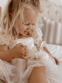 Image 3 of Cottontail