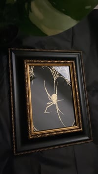 Image 3 of Gold Widow (Framed) 