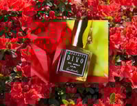 Divo Extrait Perfume