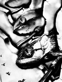 Image 3 of IDEA 143 - 1977 #7