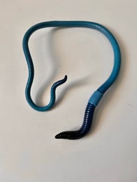 Image 1 of Blue Neck Cuff