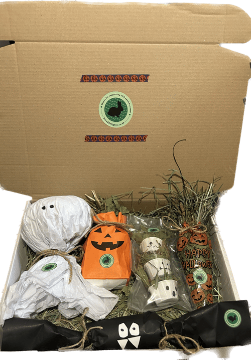 Image of Individual Halloween enrichment toys and treats 