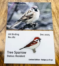Image 1 of Smew - No.181 - UK Birding Pins