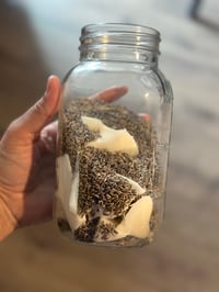 Image 5 of Infused Tallow Balm 