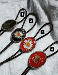 Image 2 of Bolo Tie Preorder 