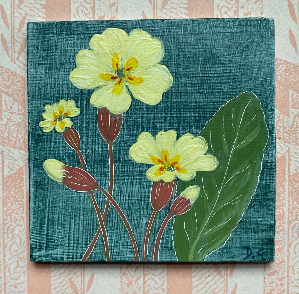 Image of Primrose Study (C)