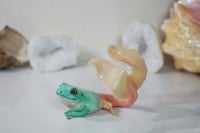 Image 1 of Frog Mermaid