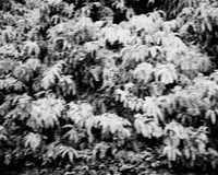 Image 3 of "Inaka" Art Print (Edition of 10)