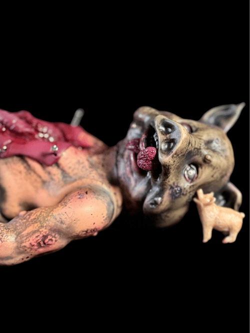 Image of Disemboweled SwineHead