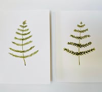 Image 1 of Christmas Card & Tag Sets SOLD OUT 