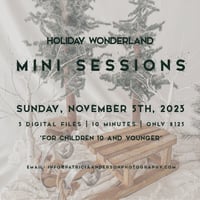 Winter Wonderland Mini Sessions