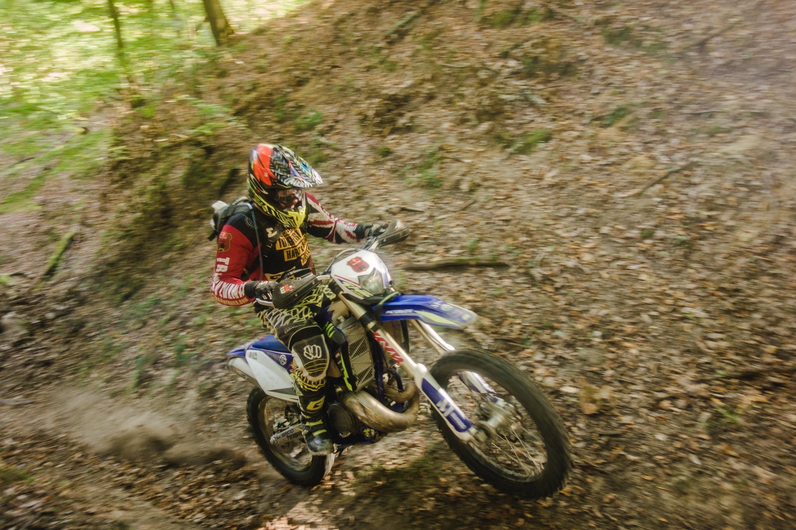 DSC08431.jpg?auto=format\u0026fit=max\u0026w=2000