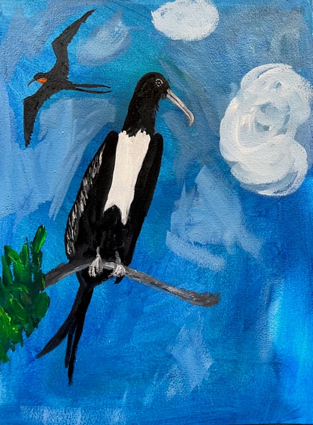 Image of Magnificent Frigate Bird - original oil painting
