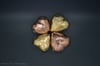 Heart of Gold
