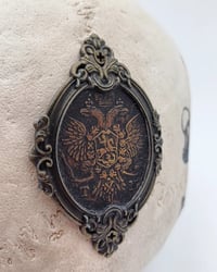 Image 5 of 1/1 soviet criminal skull