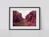 Image 1 of Delamere Forest Print 