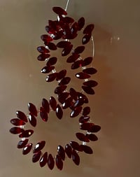 Image 4 of The Rosa