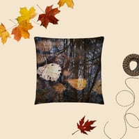 Image 5 of Transformation Pillow