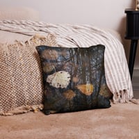 Image 4 of Transformation Pillow