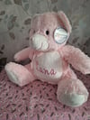 Personalized embroidered teddies 
