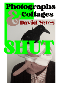 SHUT: Photographs & Collages by David Yates