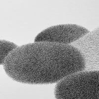 Image 3 of In The Wonderfurryland No.6 Original Artwork