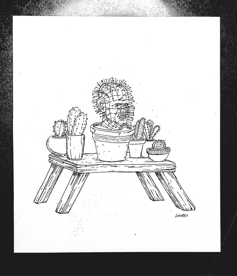 Image of Pinhead Cactus