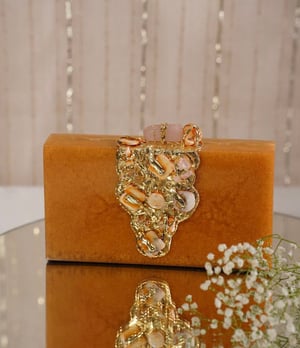 Image of Luxe Resin Clutch 