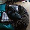 Customised Cushion Covers
